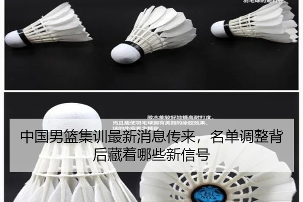 中国男篮集训最新消息传来，名单调整背后藏着哪些新信号